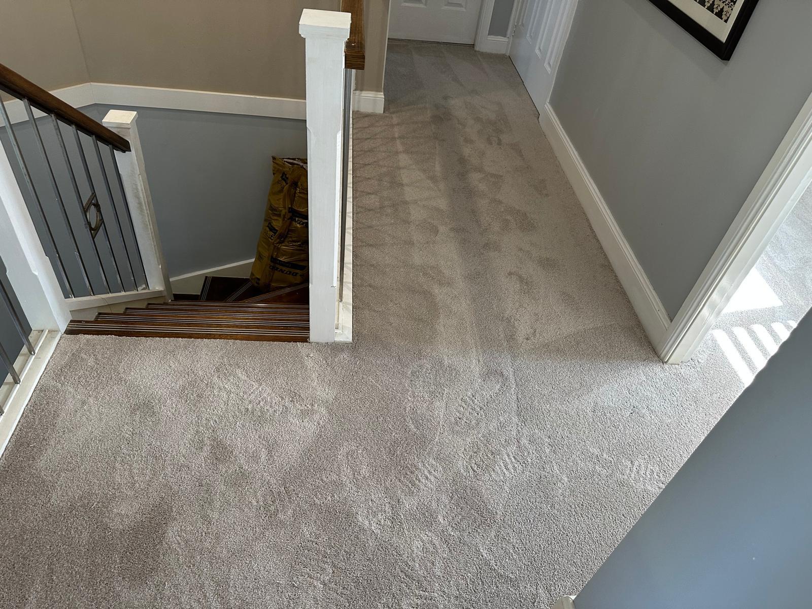Carpet flooring project