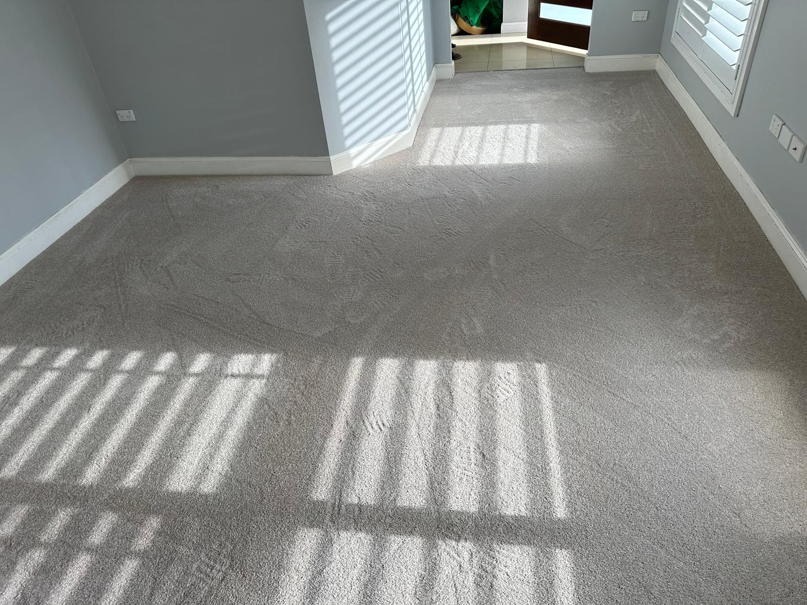 Carpet flooring project
