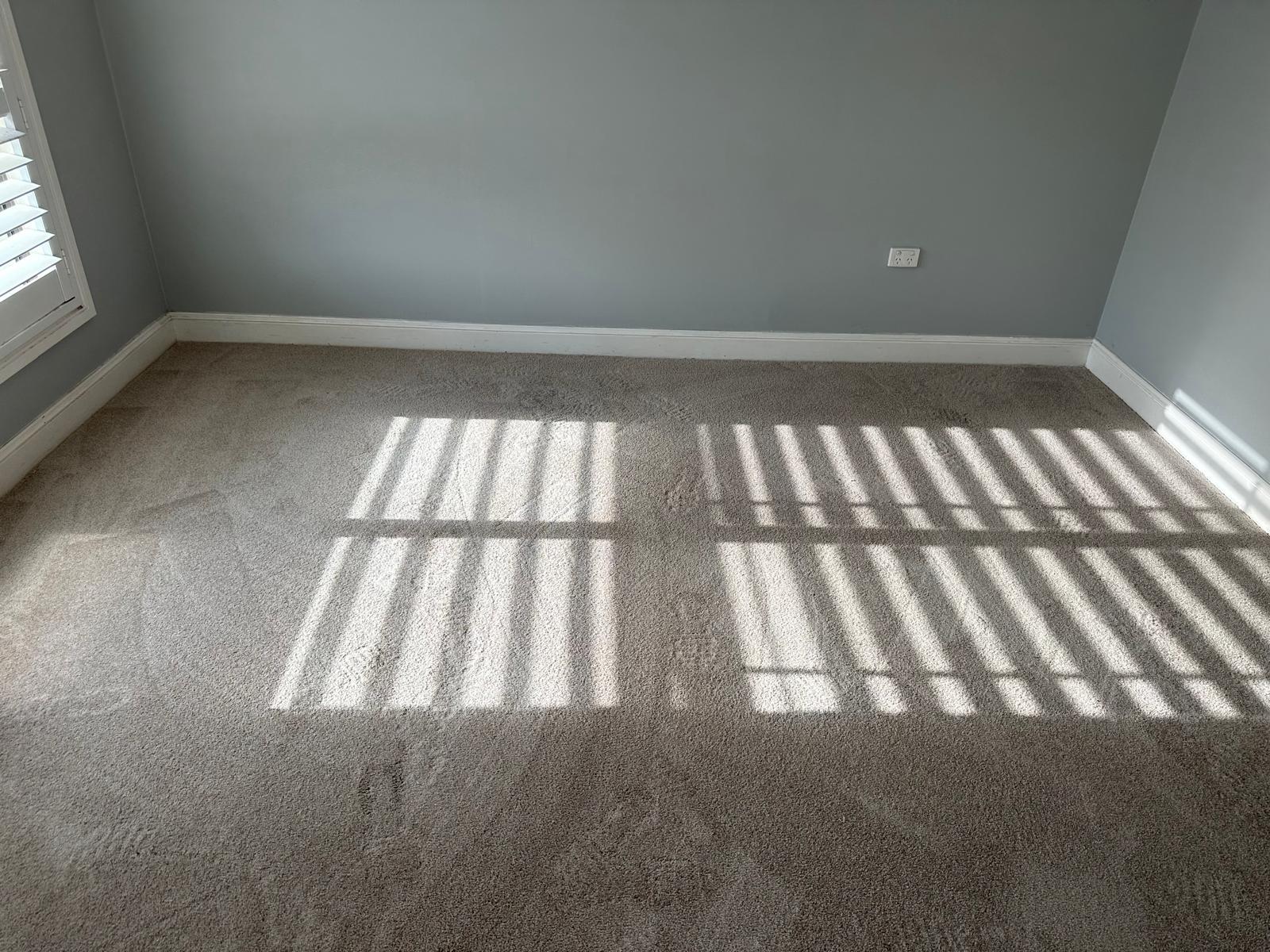 Carpet flooring project