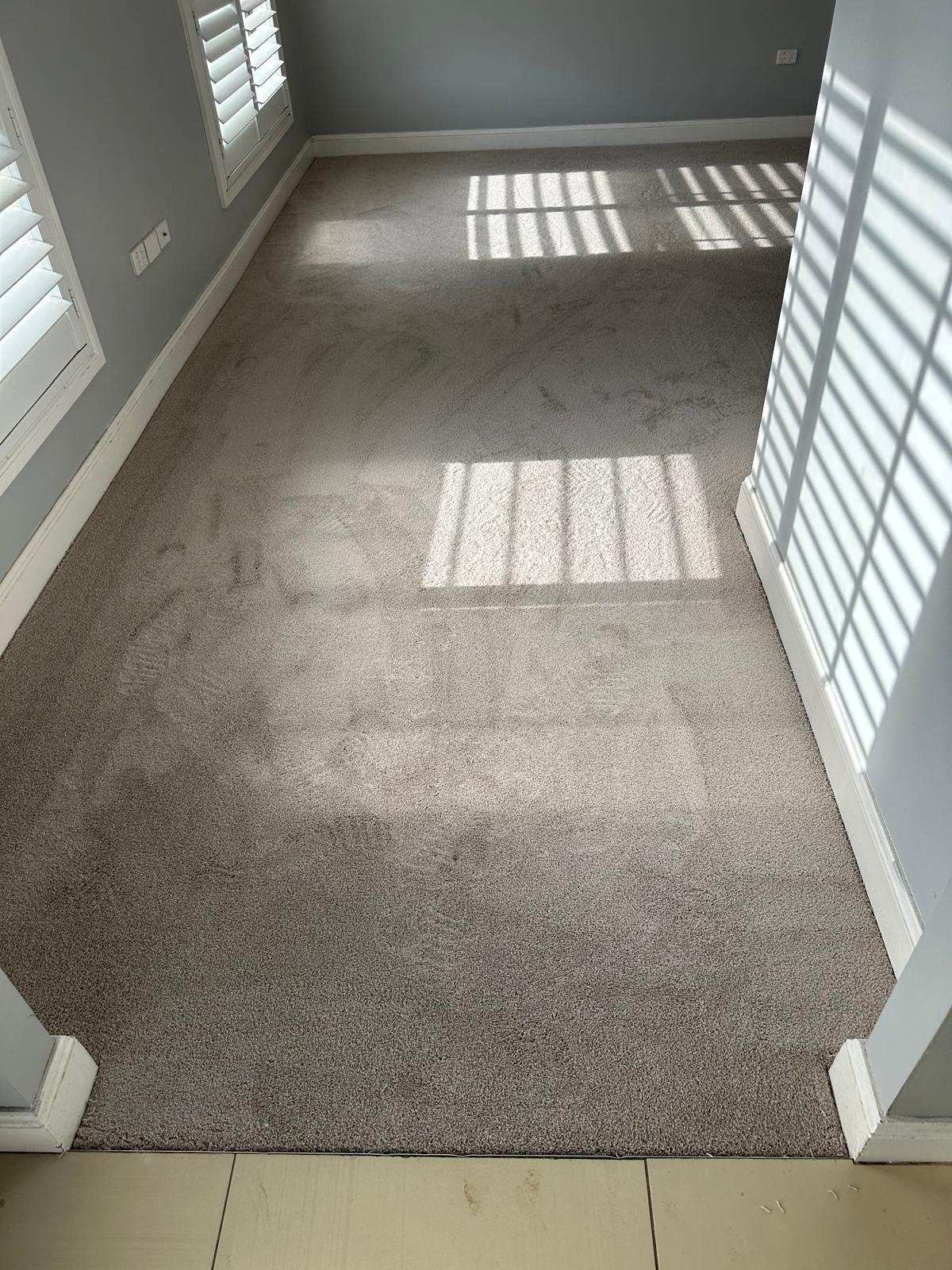 Carpet flooring project